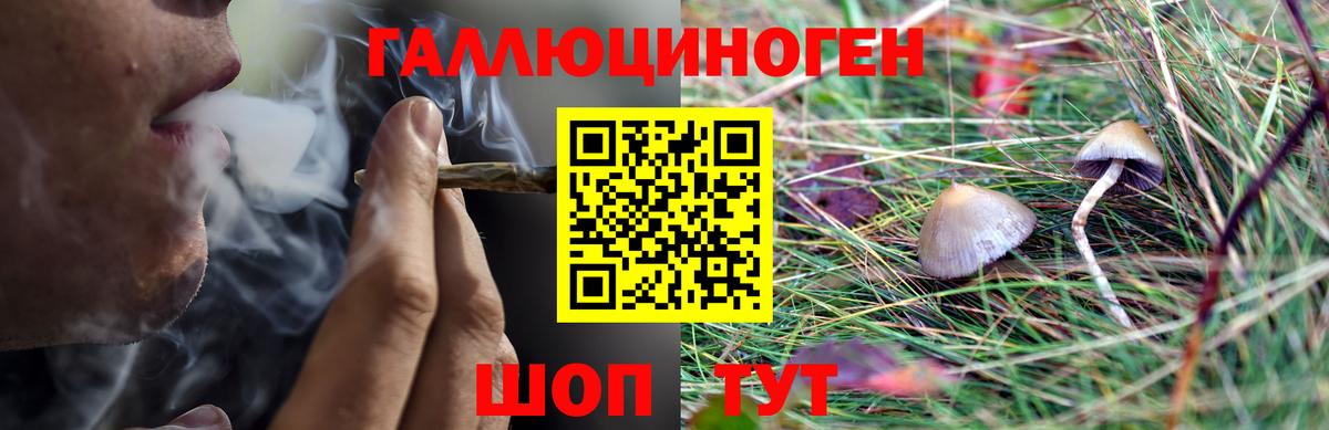 Псилоцибиновые грибы Psilocybine cubensis Волгодонск
