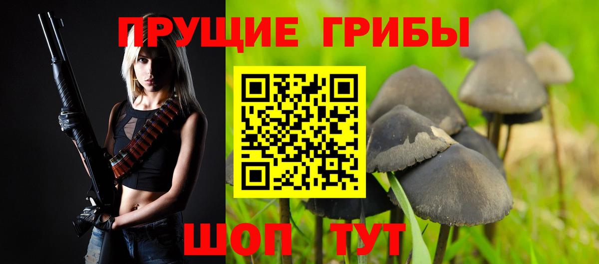 Псилоцибиновые грибы Magic Shrooms  даркнет сайт  Волгодонск  Вход с VPN  Псилоцибиновые грибы MAGIC MUSHROOMS 